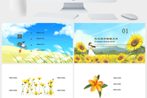 20XX年二月你好小清新风个人述职报告PPT模板