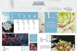 20XX小清新欧美风工作总结商务汇报PPT模板