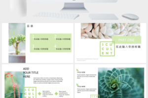 20XX小清新欧美风通用型工作汇报PPT模板