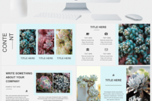 小清新多肉植物工作汇报PPT模板