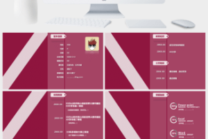 紫色熊猫简约创意个人简历PPT模板