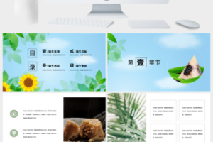 蓝色简约风中国传统节日端午节活动介绍PPT模板